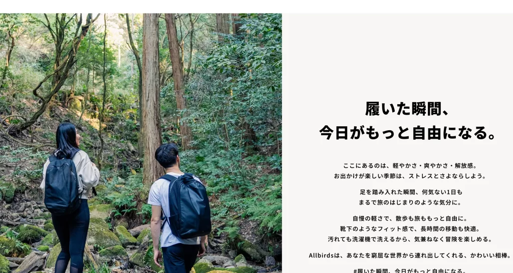 Allbirds LP画像