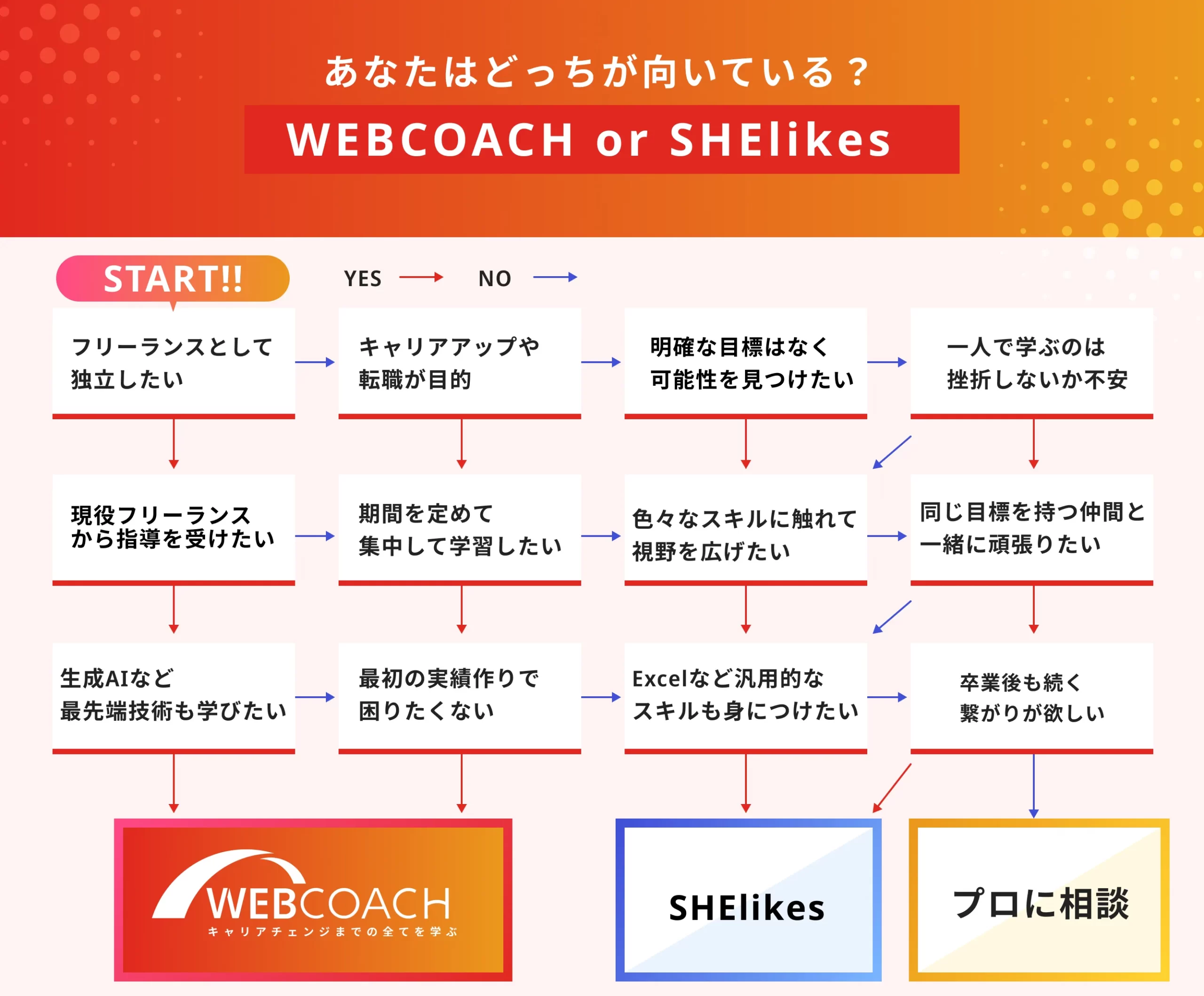 診断付き】ウェブコーチとシーライクスの違いを徹底解説｜どっちがおすすめ？